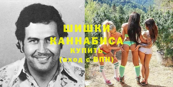 гидра Аркадак