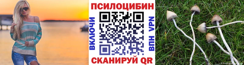 купить наркотики цена Райчихинск Псилоцибиновые грибы GOLDEN TEACHER