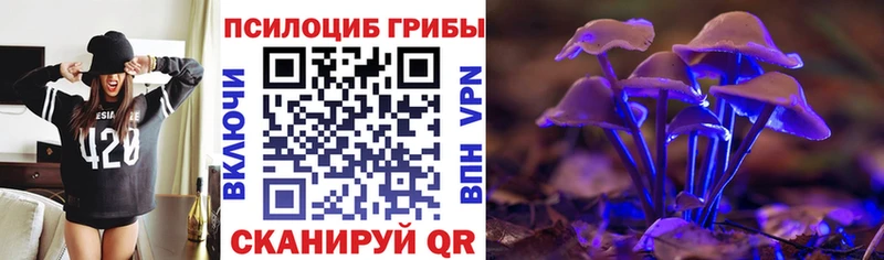 Галлюциногенные грибы мицелий Райчихинск