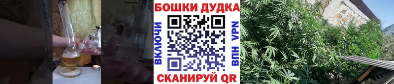 Конопля OG Kush  Райчихинск 
